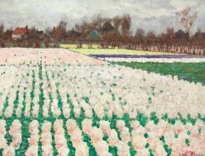 Champs de jacinthes - George Hitchcock