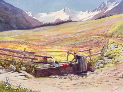 Champs de début juin au-delà de Praz de Fort dans le Val Ferret, avec en arrière-plan le Groupe du Grand Saint-Bernard et du Grand Golliaz - George Jackson Flemwell
