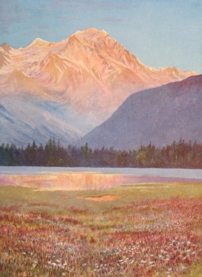Soirée parmi les champs de bistorte rose au lac Champex; lueur du coucher de soleil sur le Grand Combin, juillet - George Jackson Flemwell