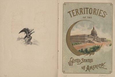 Drapeaux de toutes les nations et des États-Unis d