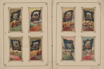 Drapeaux de toutes les nations et des États-Unis d