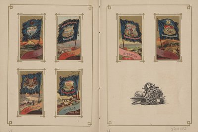 Drapeaux de toutes les nations et des États-Unis d