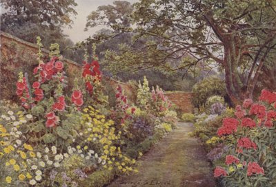 Blyborough, Roses trémières - George Samuel Elgood