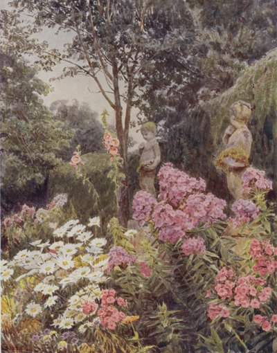 Phlox et Marguerite - George Samuel Elgood