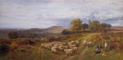 Paysage Étendu avec un Berger et son Troupeau de Moutons, Surrey - George Shalders