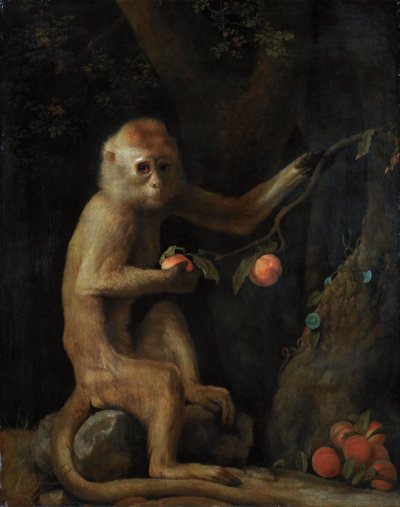 Un singe - George Stubbs