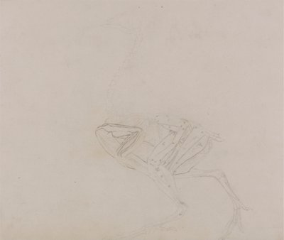 Corps de poule de Dorking, vue latérale - George Stubbs