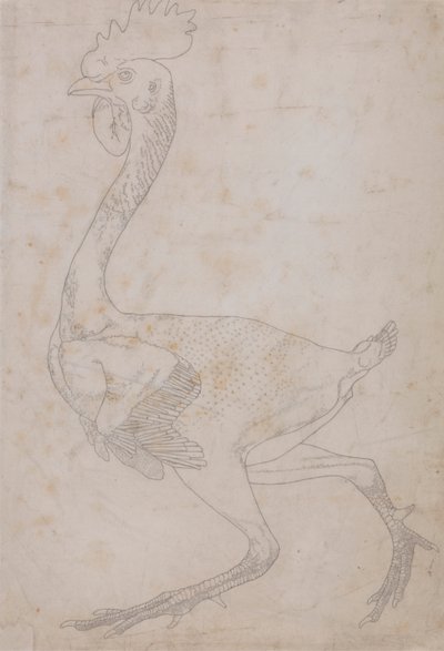Corps de volaille, vue latérale (Probablement préparé pour être transféré sur la plaque pour graver la figure clé de la Table X) - George Stubbs