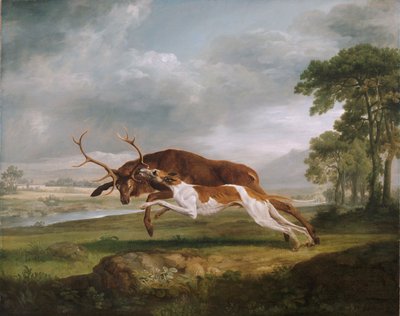 Chien courant un cerf - George Stubbs