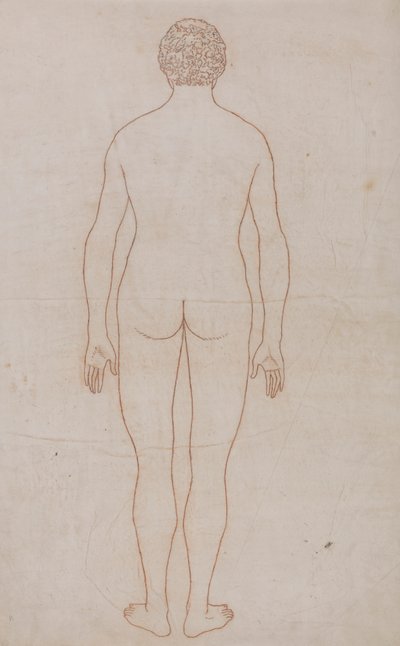 Corps humain, vue postérieure - George Stubbs