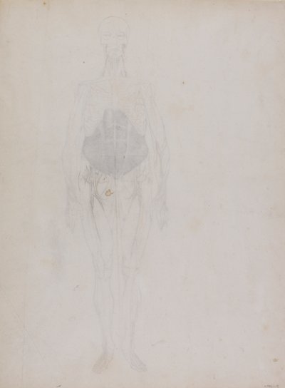 Figure humaine, vue antérieure (principalement en contour) - George Stubbs