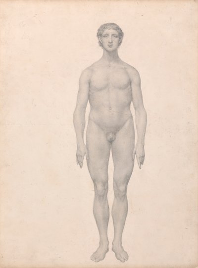 Figure Humaine, Vue Antérieure, Non Disséquée - George Stubbs