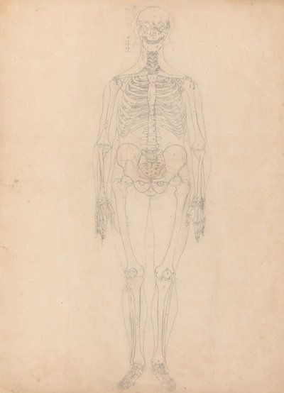 Étude de la Figure Humaine, Vue Antérieure, Diagramme pour Clé de la Table I, d