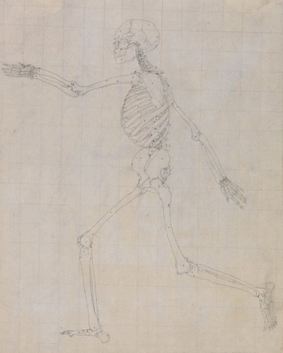 Étude de la Figure Humaine, Vue Latérale, Étude Finie pour la Table III, d