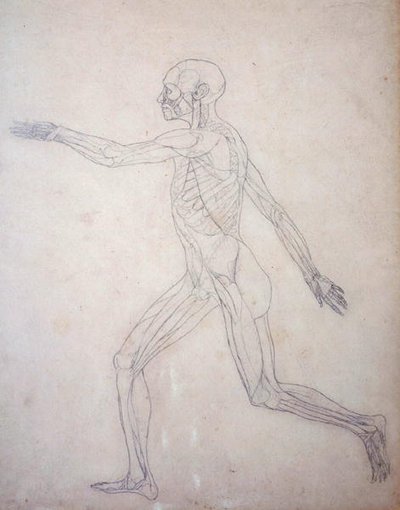 Étude de la figure humaine, vue latérale, d