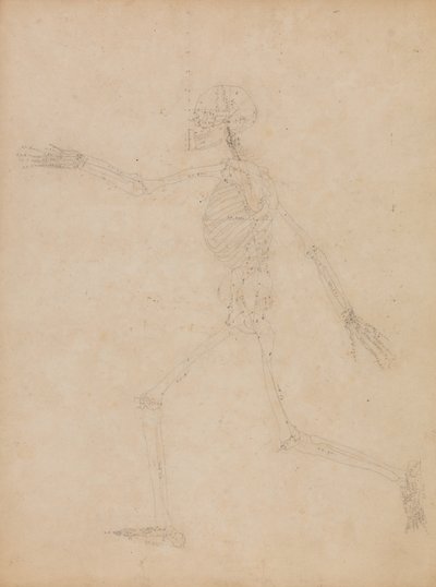 Étude de la figure humaine, vue latérale, de 