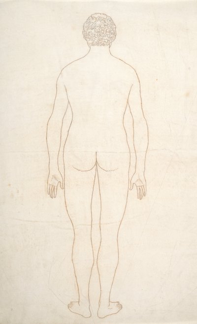 Étude de la figure humaine, vue postérieure, d