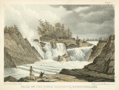 Chutes sur la rivière Exploits, Terre-Neuve (gravure en couleur) - George Victor Du Noyer