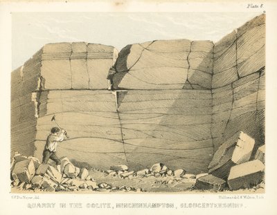 Carrière dans l