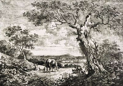 Deux vaches dans un champ - George Walker