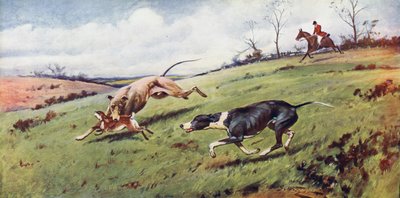 Coursing - George Wright