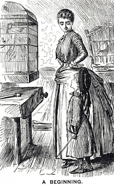 Dessin animé commentant la popularité des oiseaux en cage en Grande-Bretagne - George du Maurier