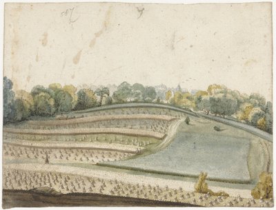 Panorama d