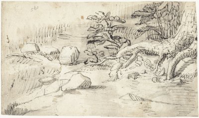 Étude des racines d