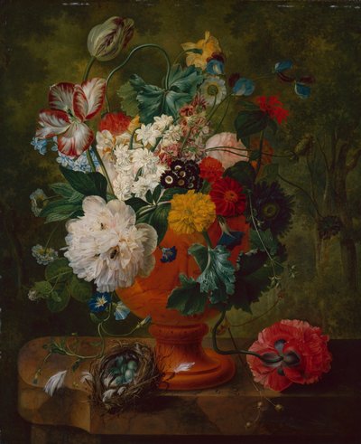 Fleurs d