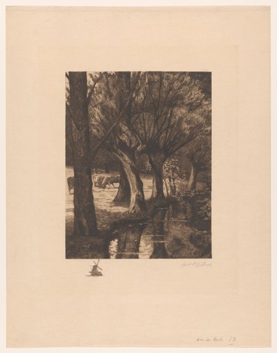 Prairie au bord de l
