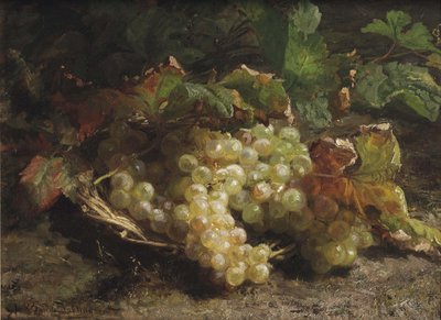 Raisins blancs dans un panier en osier - Gerardina Jacoba van de Sande Bakhuyzen