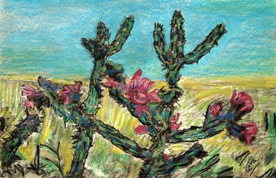 Cholla in Bloom, 2017 (dessin sur papier) - Gerhardt Isringhaus