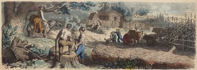 Une nouvelle colonie dans l