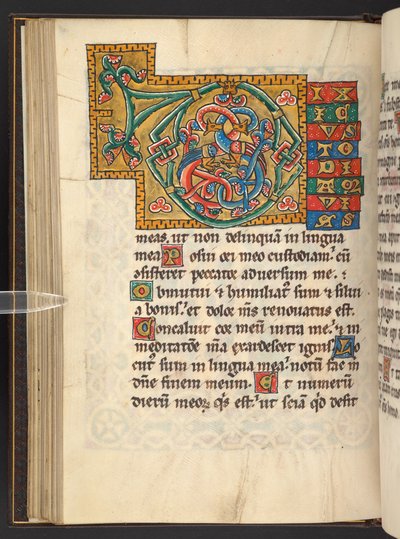 Grandes initiales encadrées en or et en couleurs avec des ornements feuillus et parfois zoomorphes et anthropomorphes (vélin) - German School