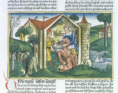 Apocryphe : Tobit est aveuglé par les excréments de moineaux, de la Bible de Nuremberg (Biblia Sacra Germanaica) - German School