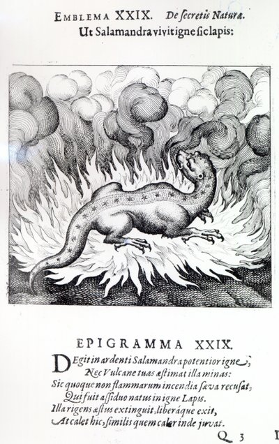 Comme la salamandre vit dans le feu, ainsi aussi la pierre, Emblème XXIX de Atalanta fugiens par Michael Maier, 1617 - German School