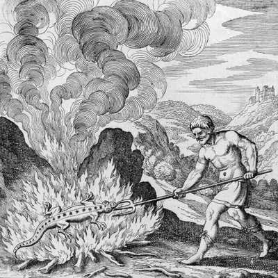 Brûler une salamandre du Musaeum Hermeticum - German School