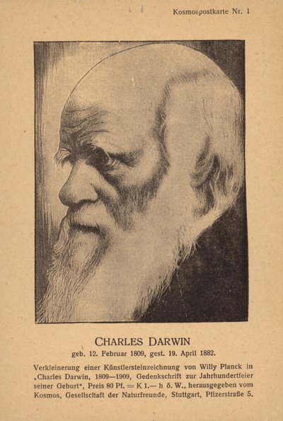 Charles Darwin (1809-1882), naturaliste anglais (litho) - German School