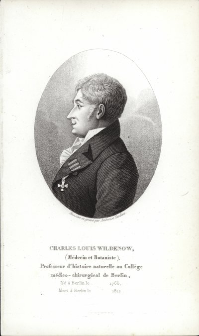 Charles Louis Wildenow - German School