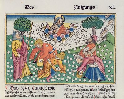 Exode 16:13-22 Dieu fournit des cailles et de la manne aux Israélites, de la Bible de Nuremberg (Biblia Sacra Germanaica) - German School