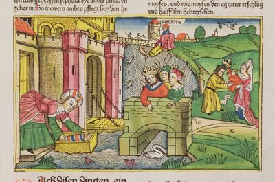 Exode 2 1-6 Moïse flottant sur le Nil et découvert par une des épouses de Pharaon, de la Bible de Nuremberg (Biblia Sacra Germanaica) - German School