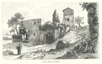 Jardins de Salluste, Rome - German School