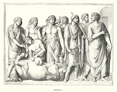 Haruspice, prêtre romain antique qui examinait les entrailles des animaux sacrifiés pour prédire l