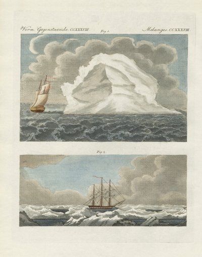 Icebergs et champs de glace - German School