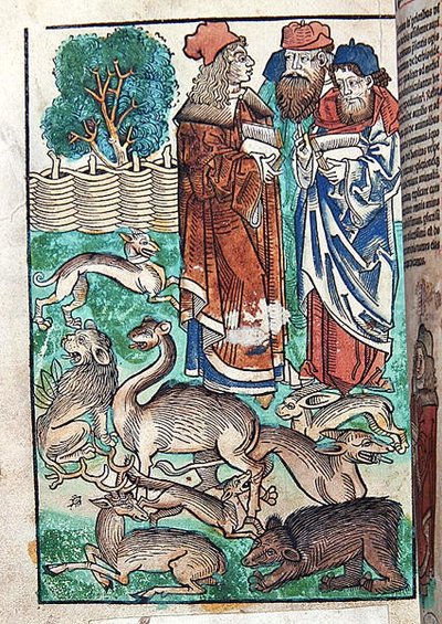 Illustration de Hortus Sanitatis - German School