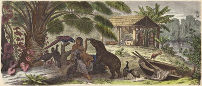 Maison indienne sur le fleuve Orénoque (gravure en couleur) - German School