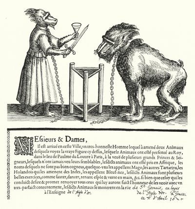 Invitation à une exposition de singes et de macaques - German School