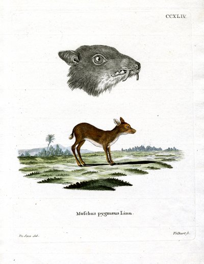 Chevrotain de Java - German School
