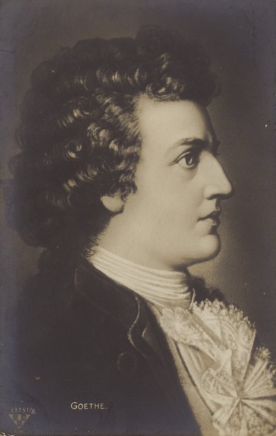 Johann Wolfgang von Goethe (1749-1832), poète, romancier et dramaturge allemand (lithographie) - German School