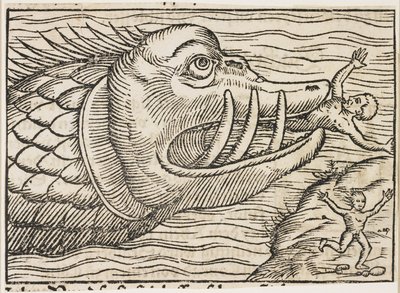 Jonas et la baleine - German School